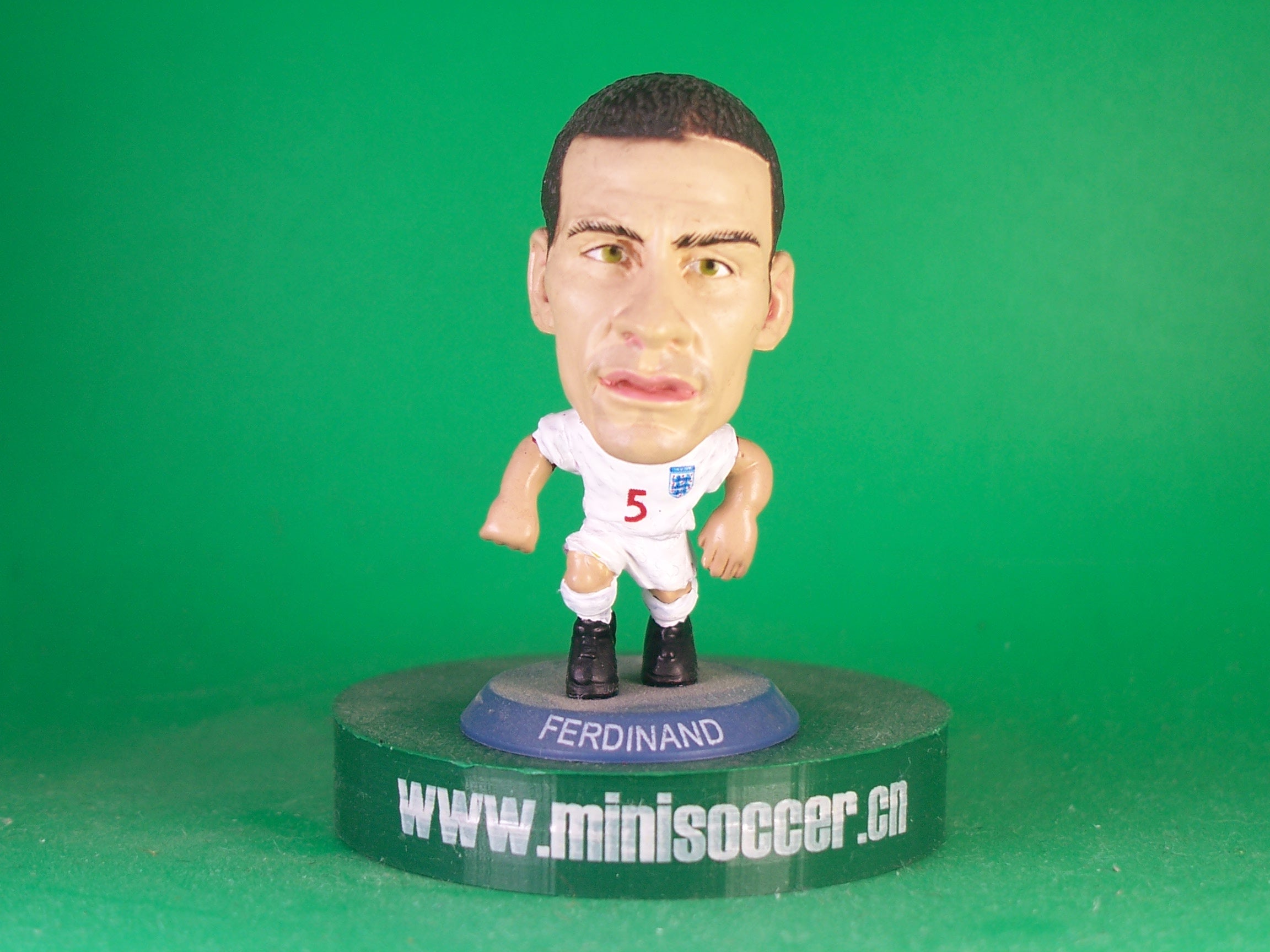 England Rio Ferdinand World Cup 2010