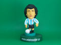 Argentina Gallego World Cup 1978 Final