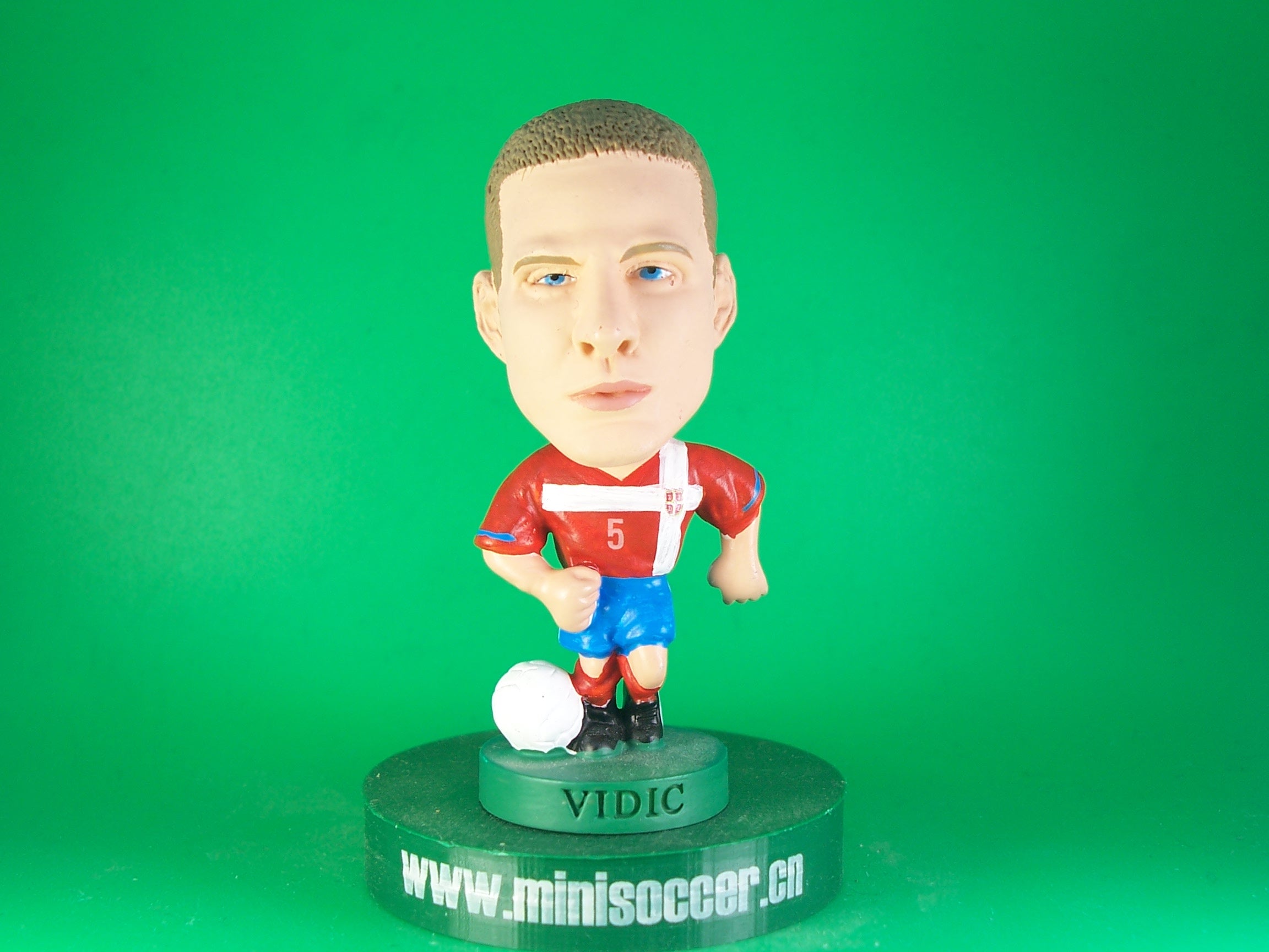 Serbia Vidic World Cup 2010