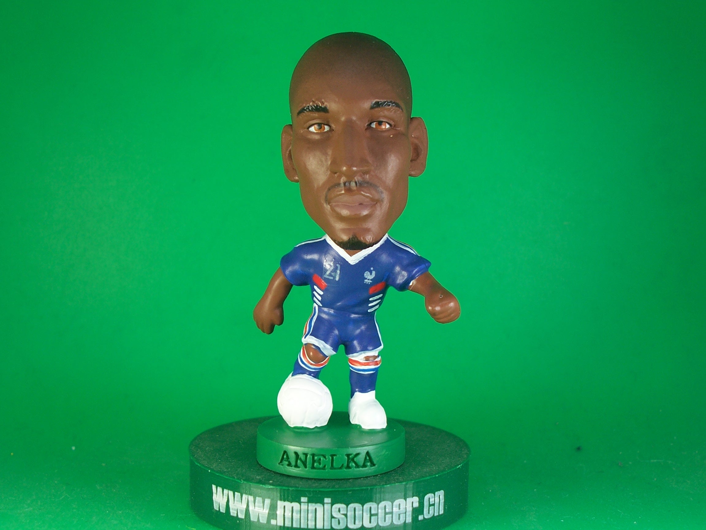 France Anelka World Cup 2010