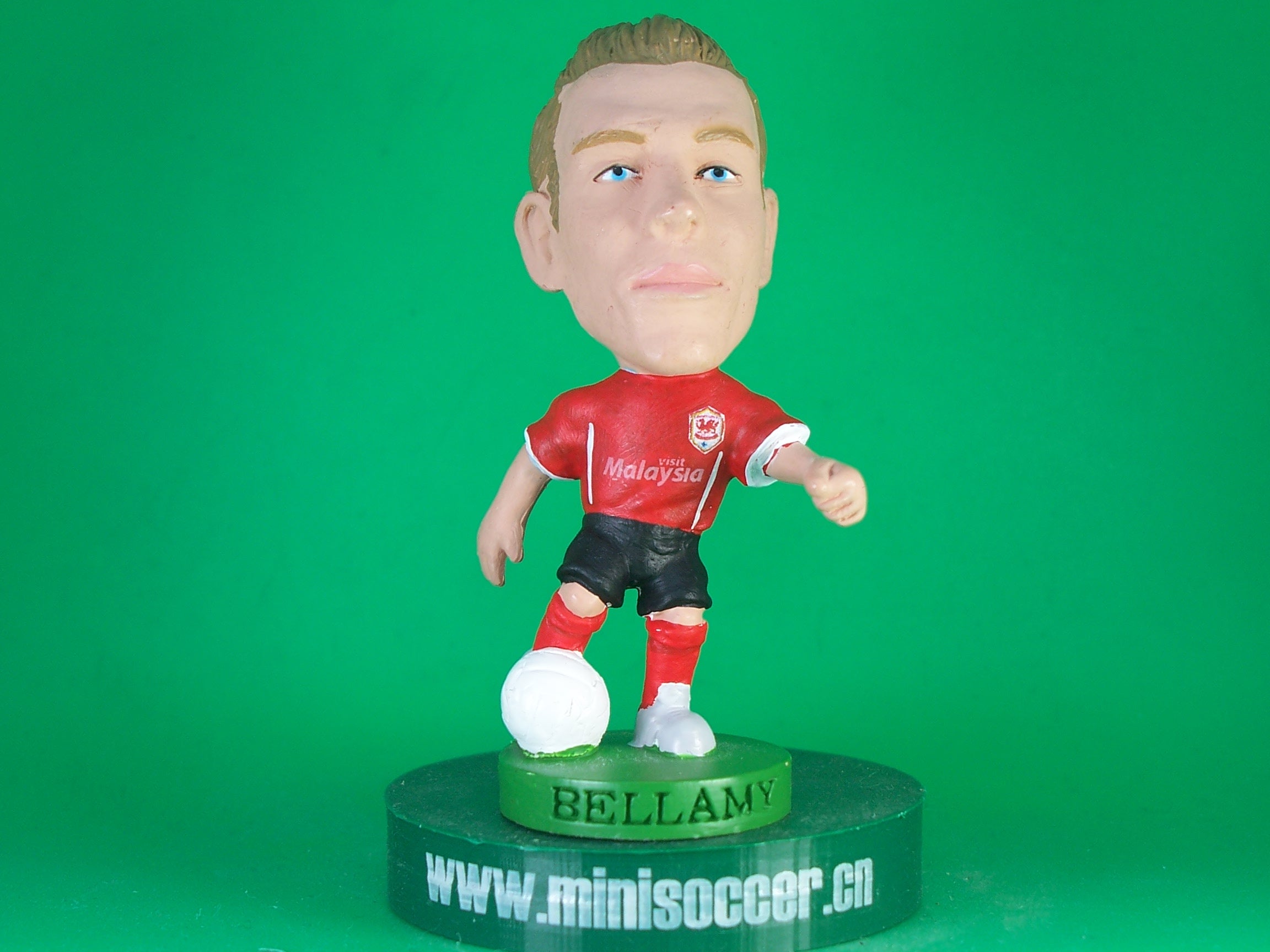 Bellamy Cardiff City 2013-14