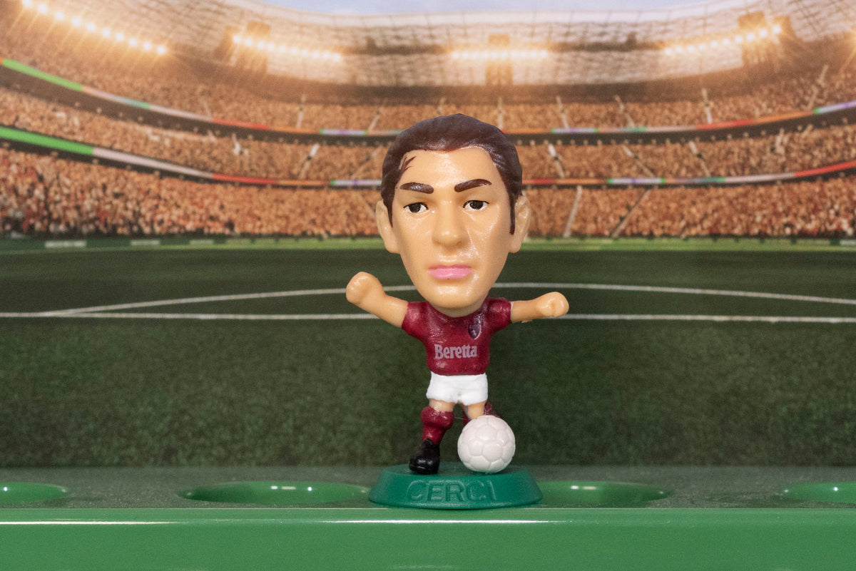 Cerci Torino 2012-13