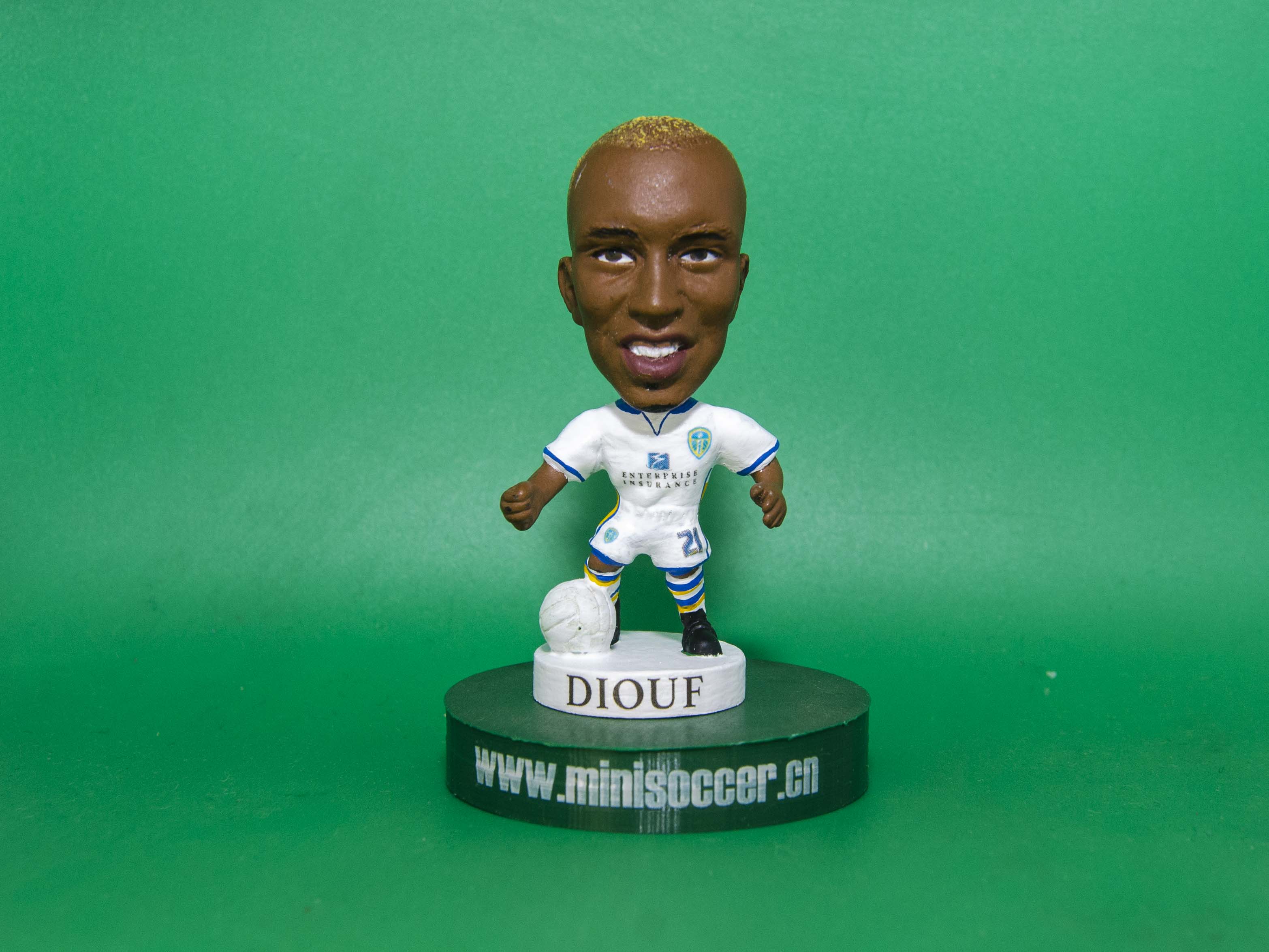 Diouf Leeds 2012-13