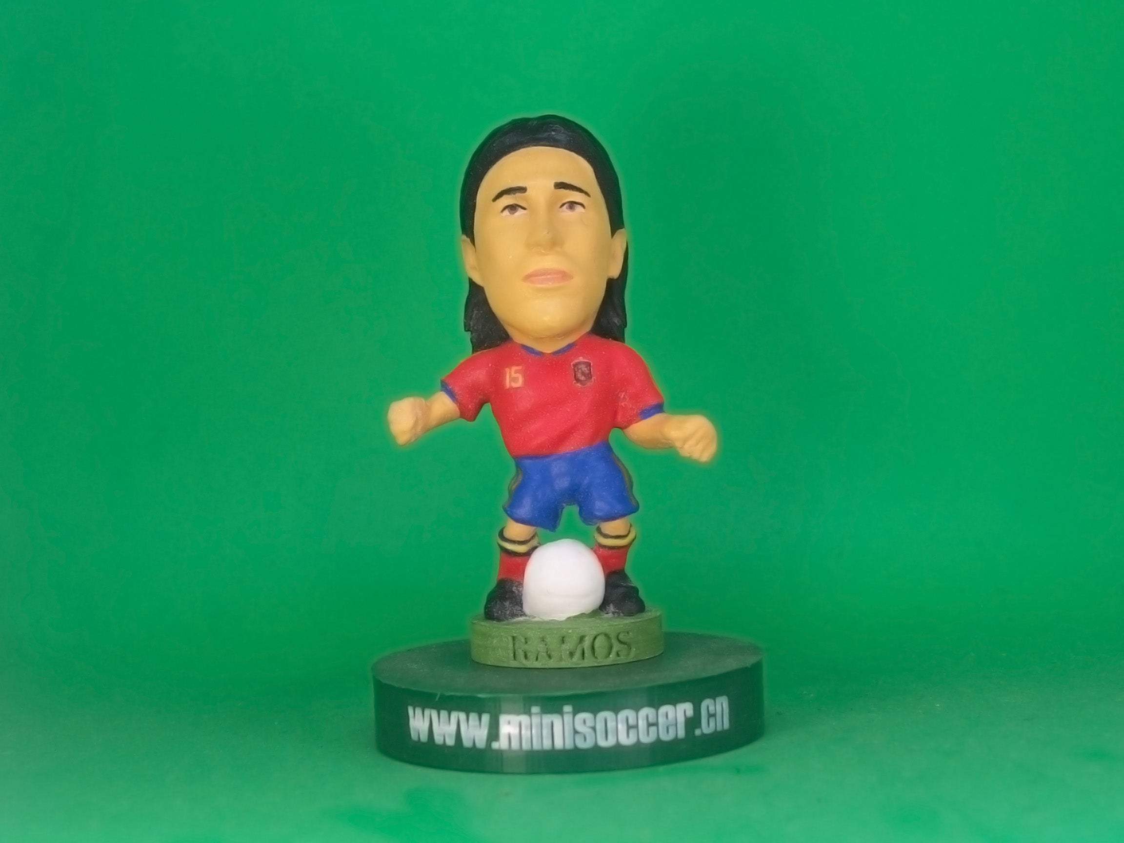 Spain Ramos World Cup 2010