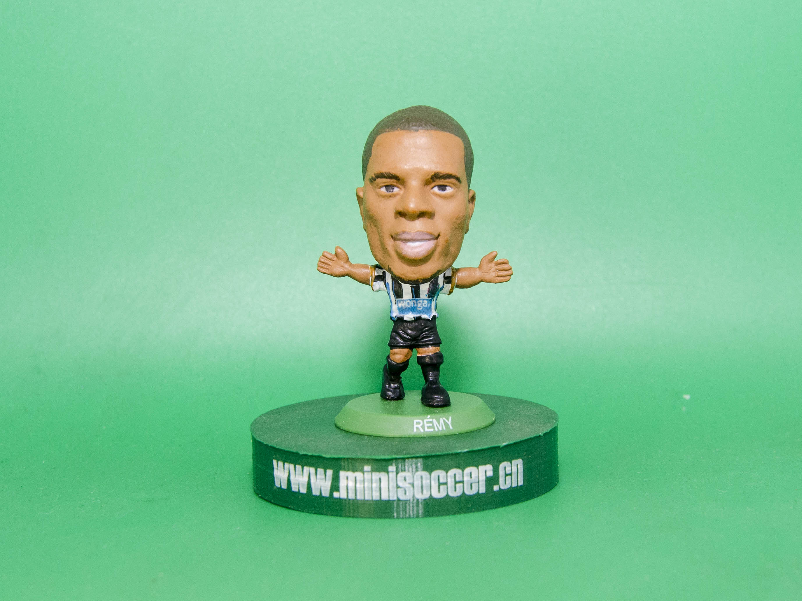 Remy Newcastle 2013-14