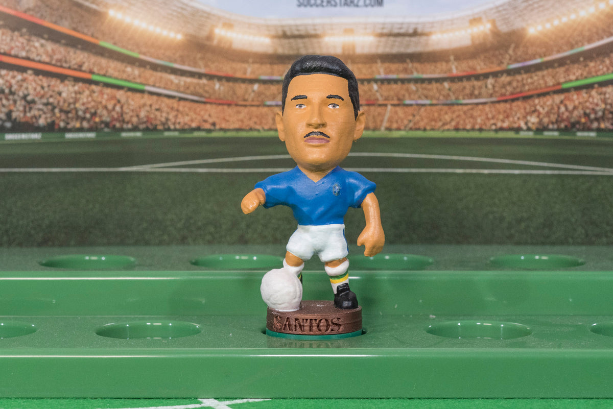 Brazil Nilton Santos Wordl Cup 1958 Final