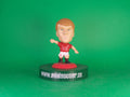 Scholes Manchester United 2008-09