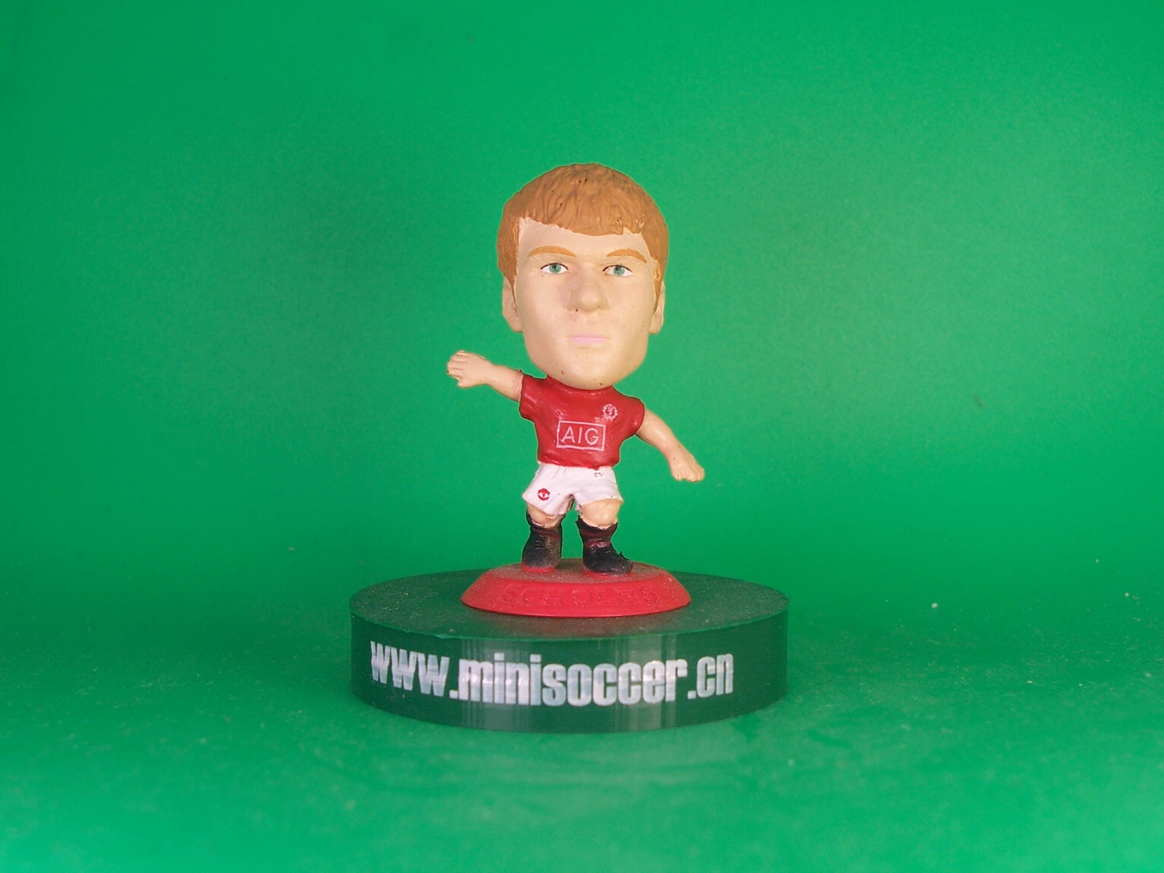 Scholes Manchester United 2008-09