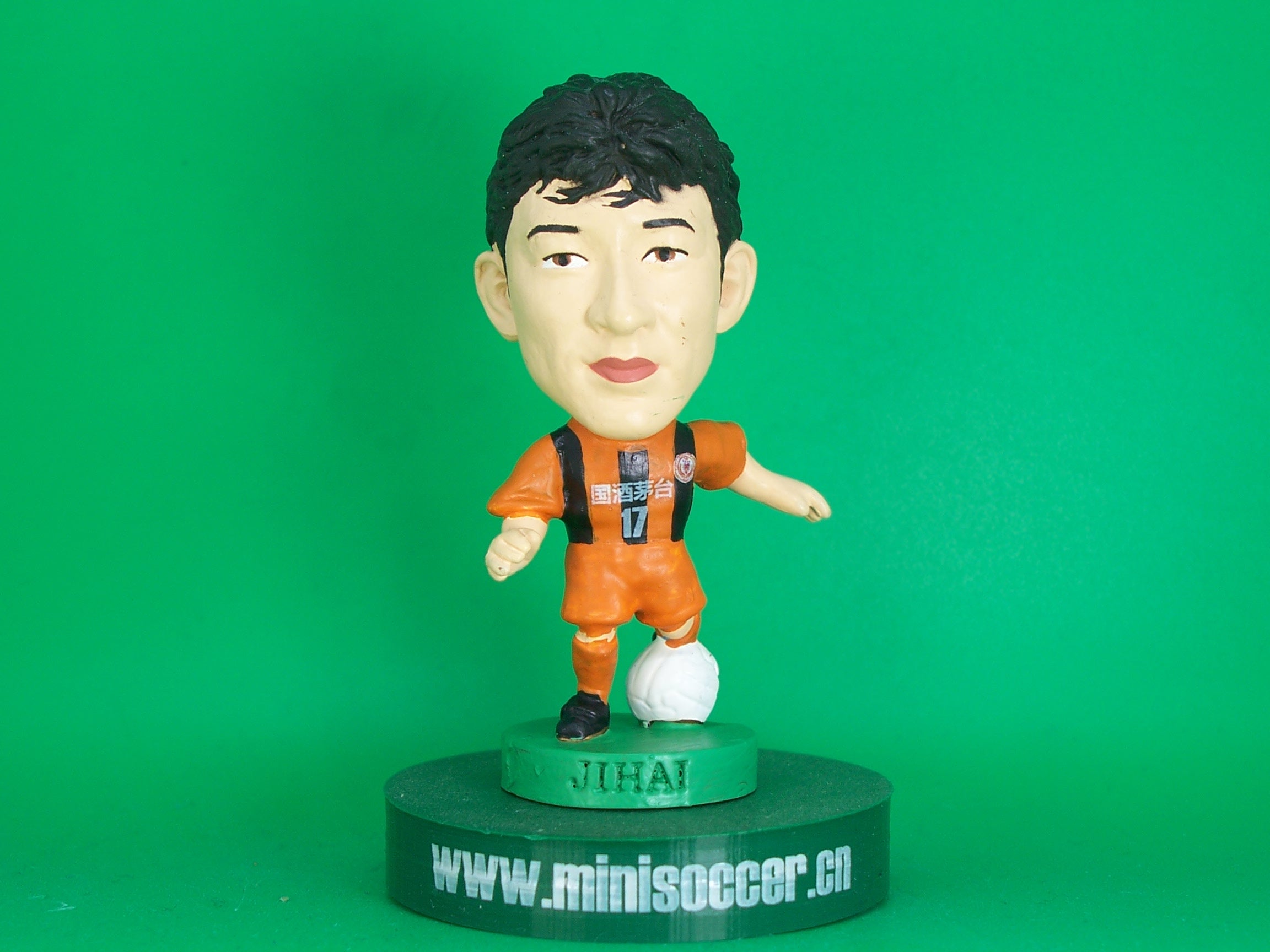 Sun Jihai Guizhou Renhe 2013