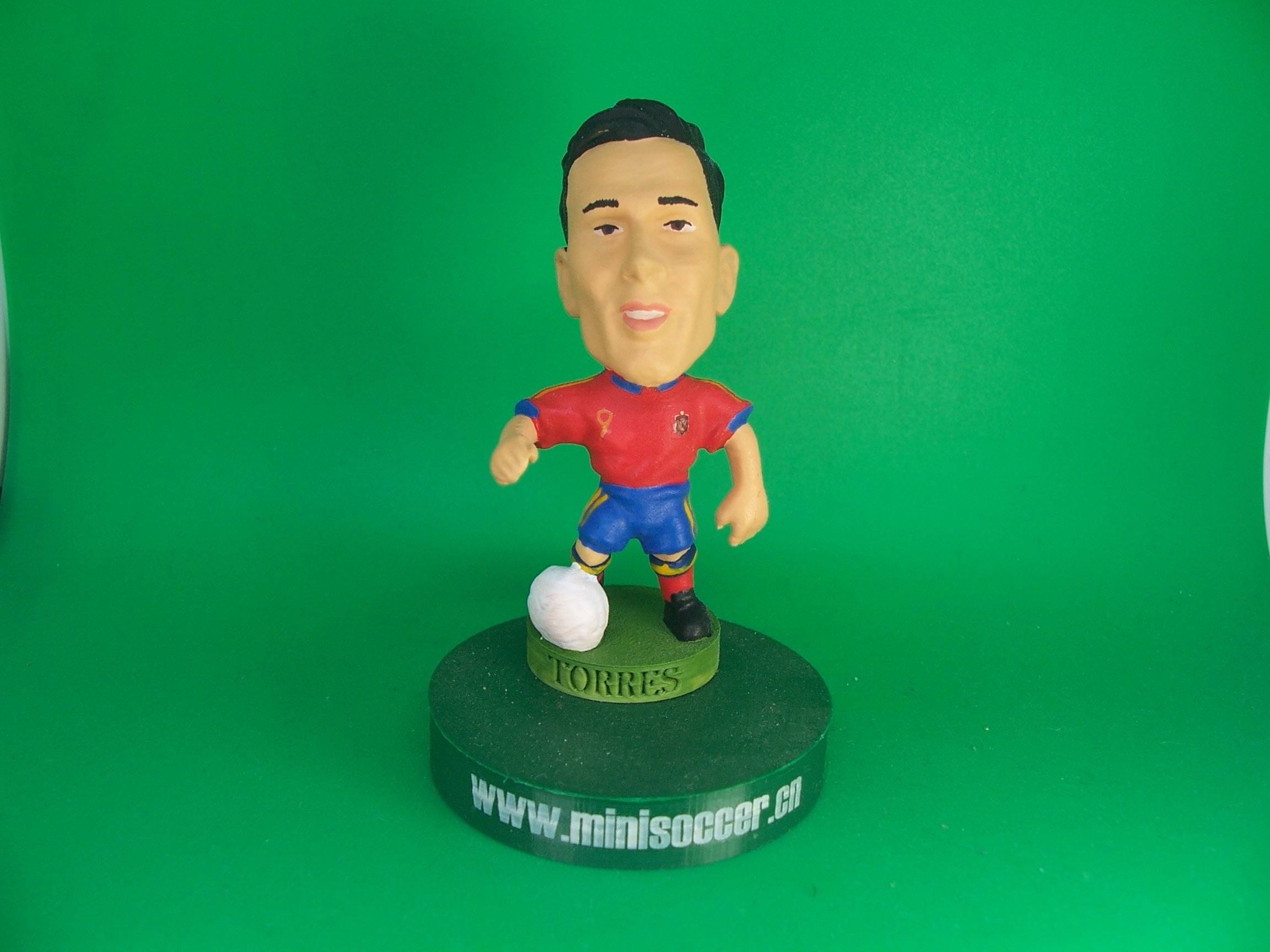 Spain Torres World Cup 2010