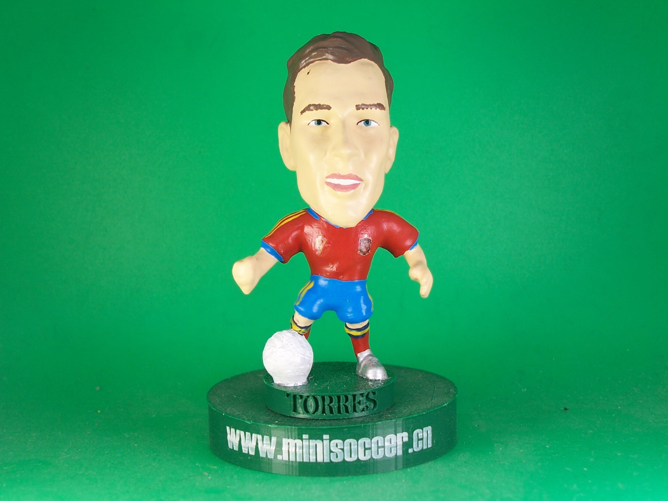 Spain Torres World Cup 2010