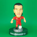 Belgium Van Buyten World Cup 2014