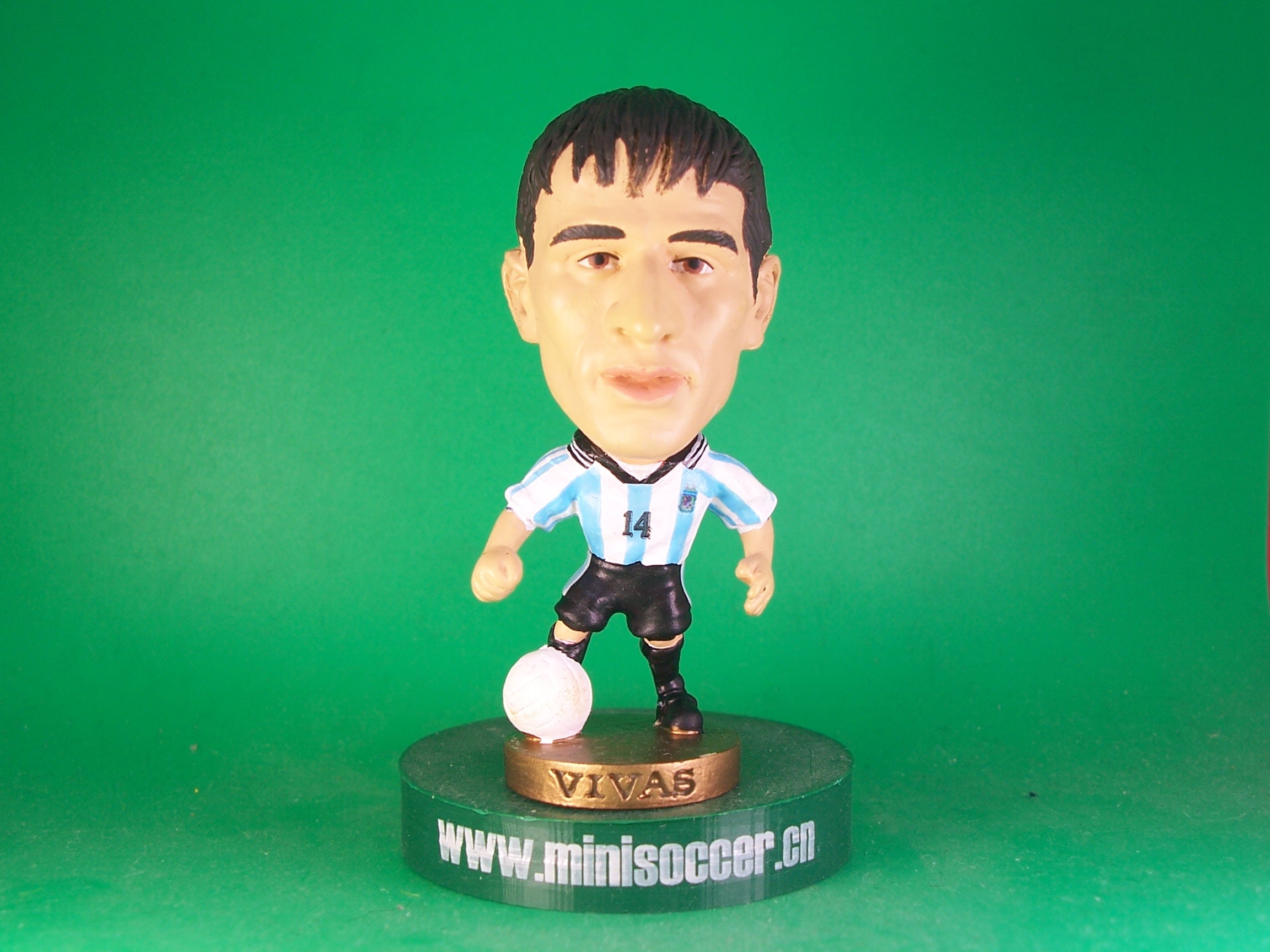 Argentina Vivas World Cup 1998